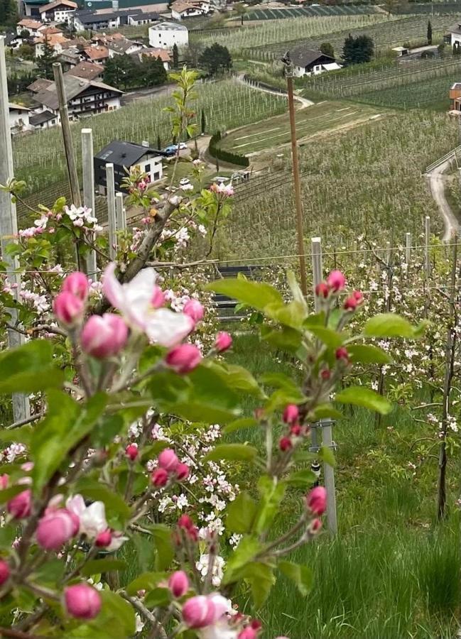 Apartamento Weingut Bachgütl Cermes Exterior foto