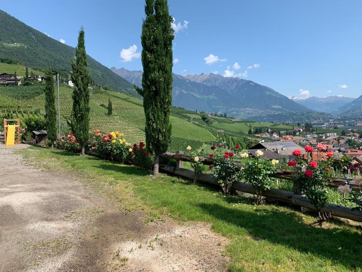 Apartamento Weingut Bachgütl Cermes Exterior foto
